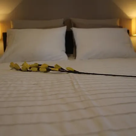 The House Of Origin 코스타 테기세